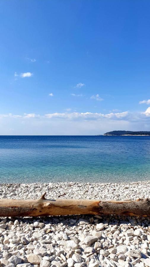 班约勒Calm Sea View公寓 外观 照片
